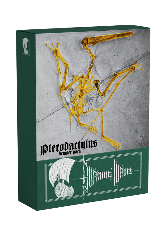 Pterodactylus Kemper-Pack
